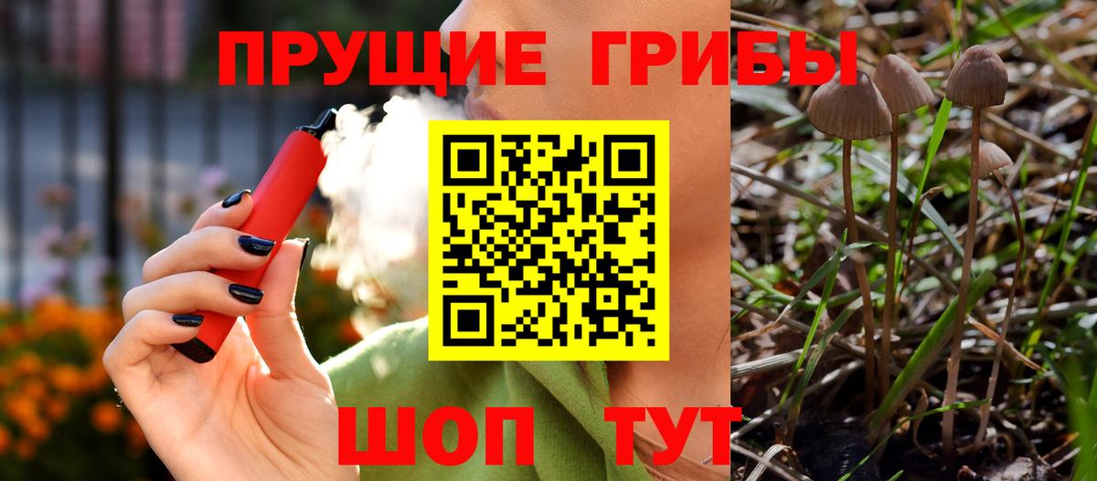 Галлюциногенные грибы Cubensis Сафоново